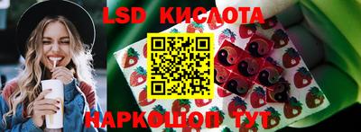 прущие грибы Первоуральск