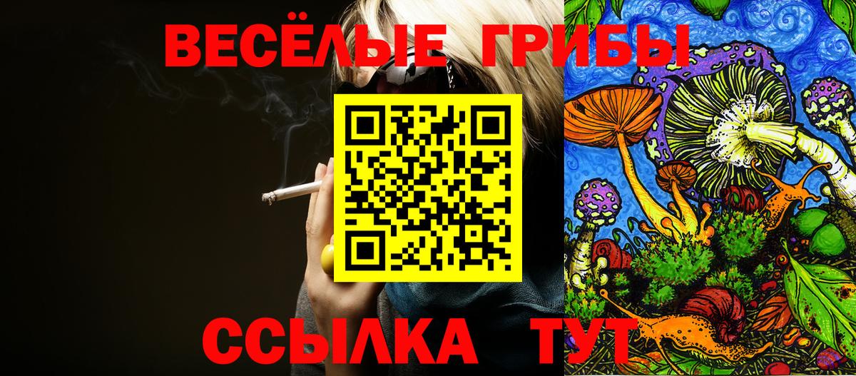 Ростов Великий  Псилоцибиновые грибы ЛСД  Вход с VPN 