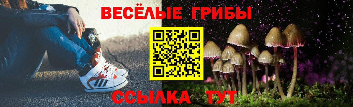 Псилоцибиновые грибы Cubensis Ростов Великий